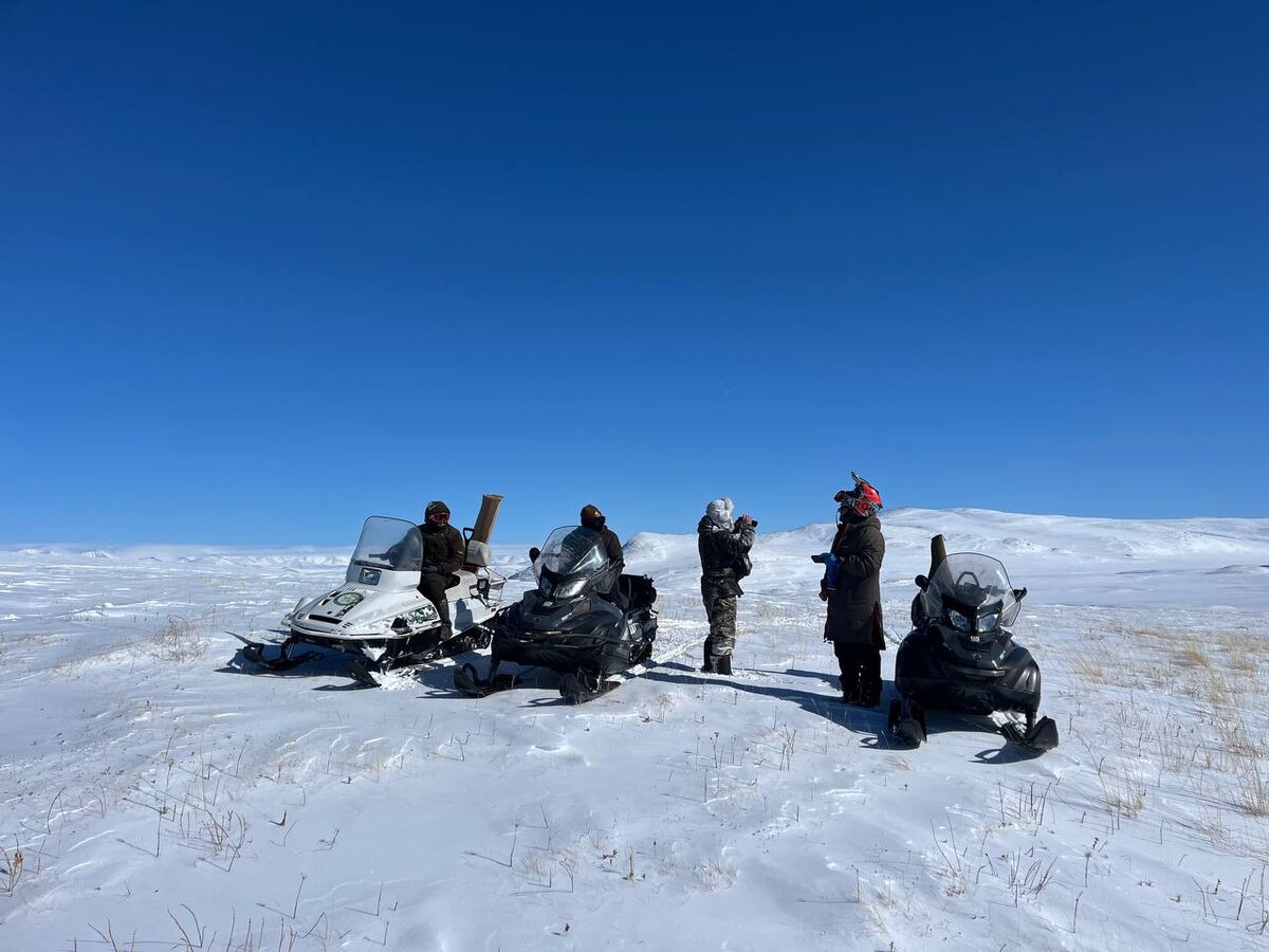 Фото - Сынару Трифанова.