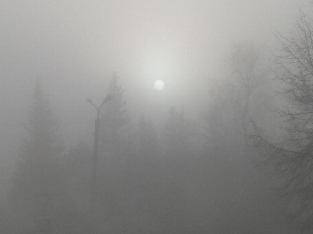    Туман. Фото Анны Зубаревой