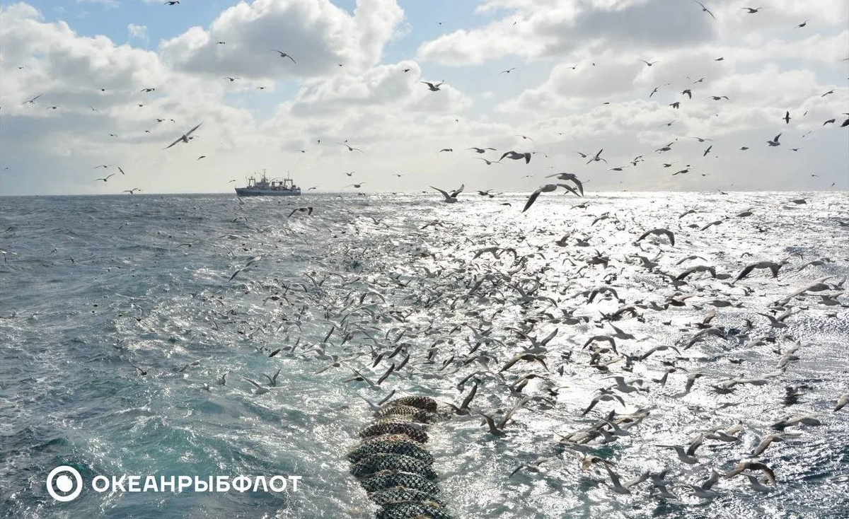Фото АО «Океанрыбфлот»