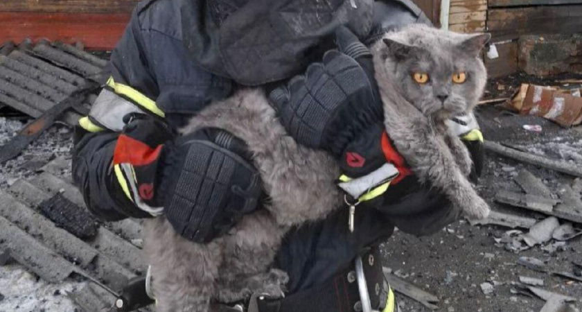    Фото: ГУ МЧС по Иркутской области