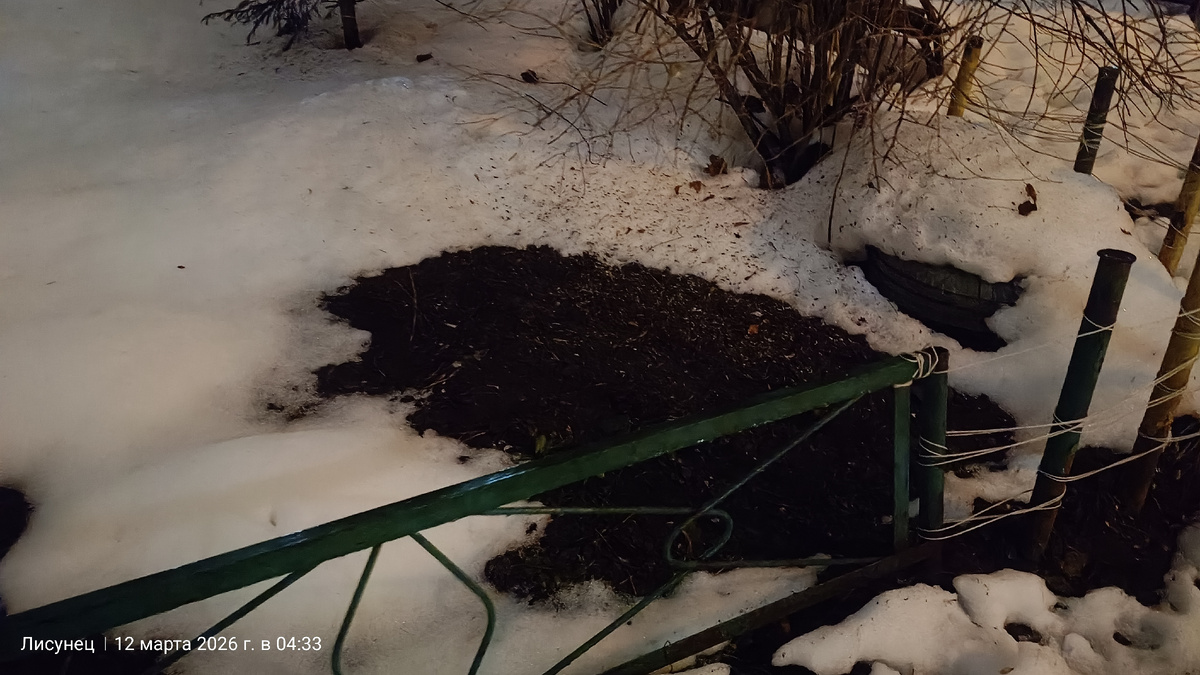 Ужеивидно землю.Фото автора