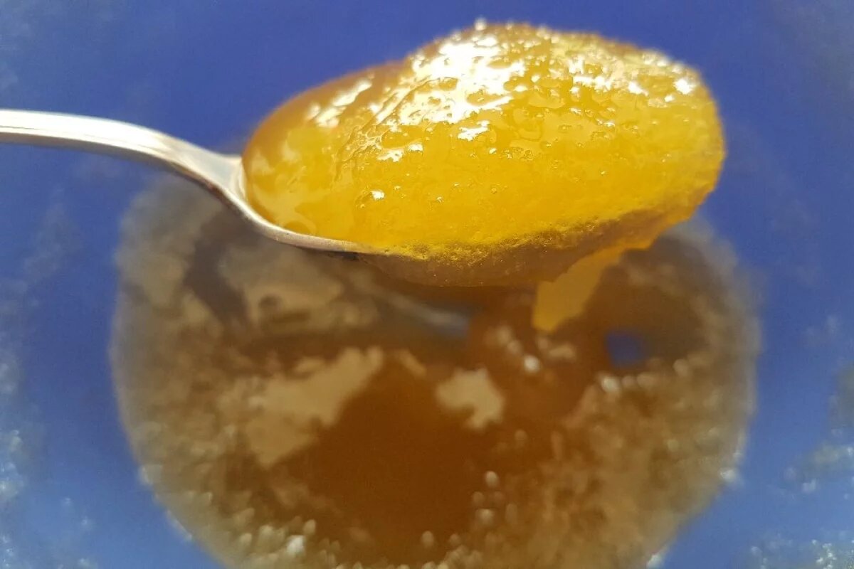    На Алтае иностранец обманул слабовидящую женщину и попал под суд