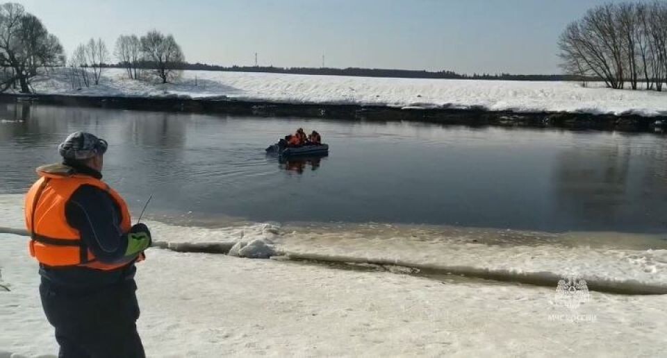    Поиски детей в Звенигороде. Источник: МЧС РФ