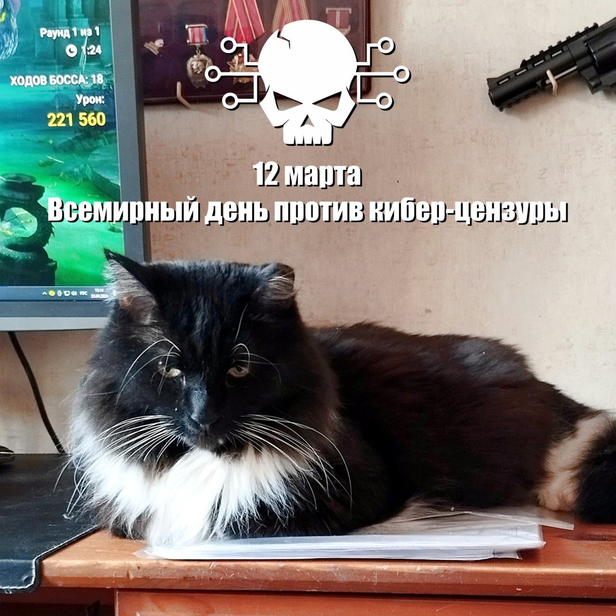 🐾 Комментарий Котейки Которого Не Пустили В Евросоюз, потому что он черный: