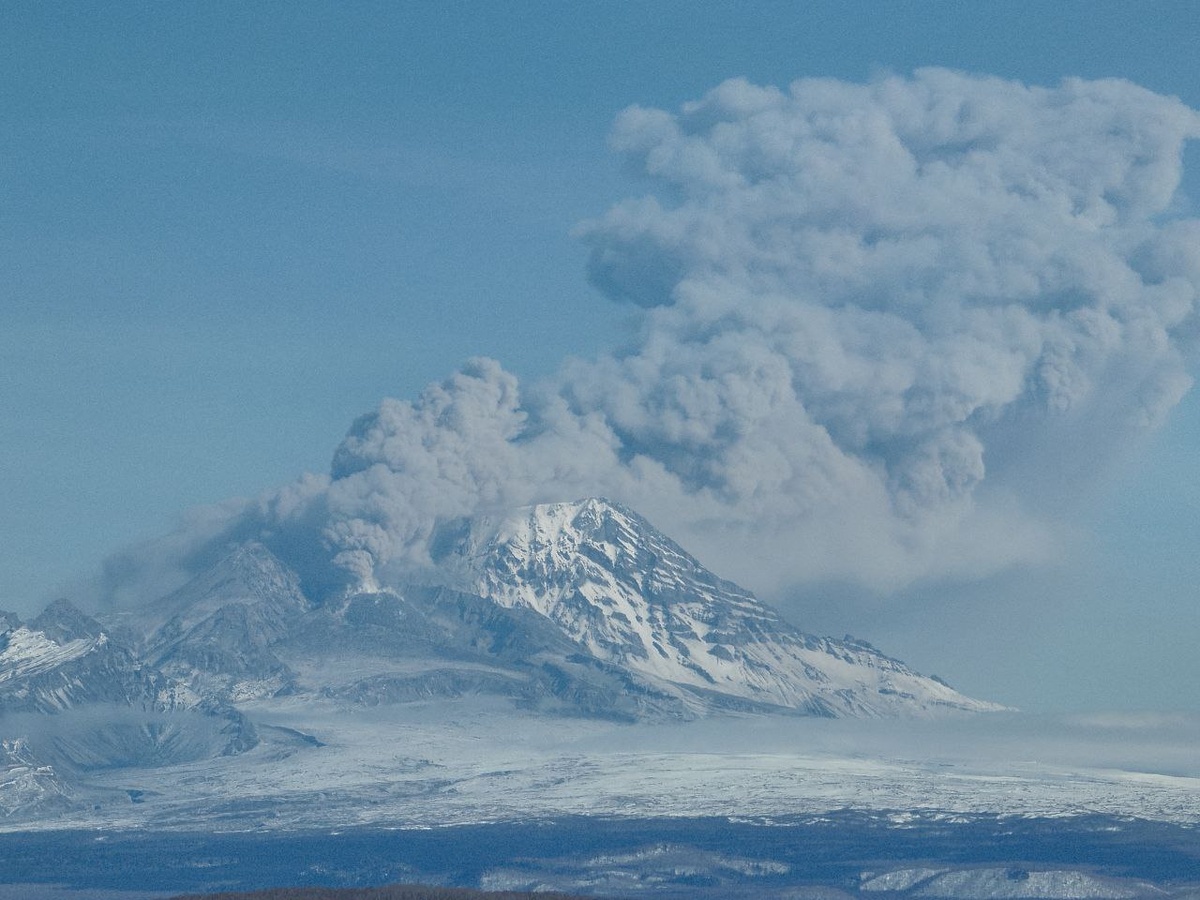 Фото М. Бабушкин / телеграм-канал «Территория науки»