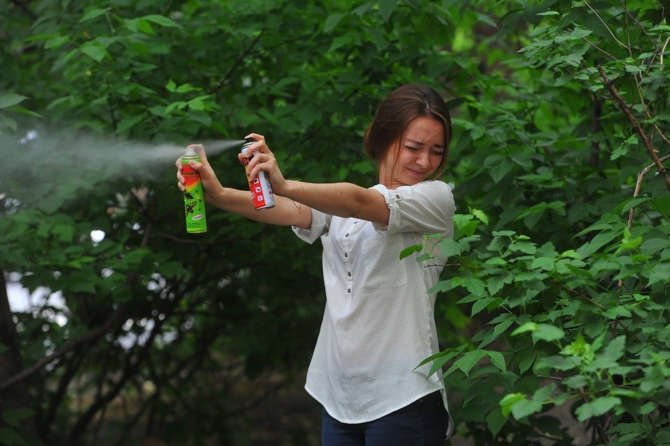    В регионе не ожидается нашествия комаров Евгения ГУСЕВА