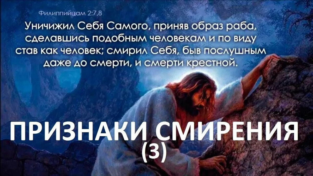 Из открытых источников Яндекса. 