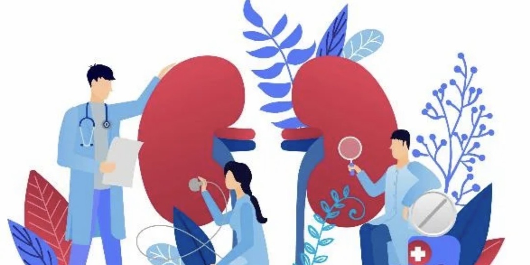 БЕРЕГИТЕ ПОЧКИ