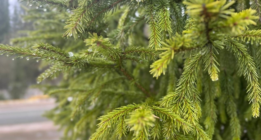    Фото "Про Город"