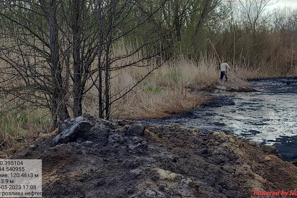    Фото: Росприроднадзор