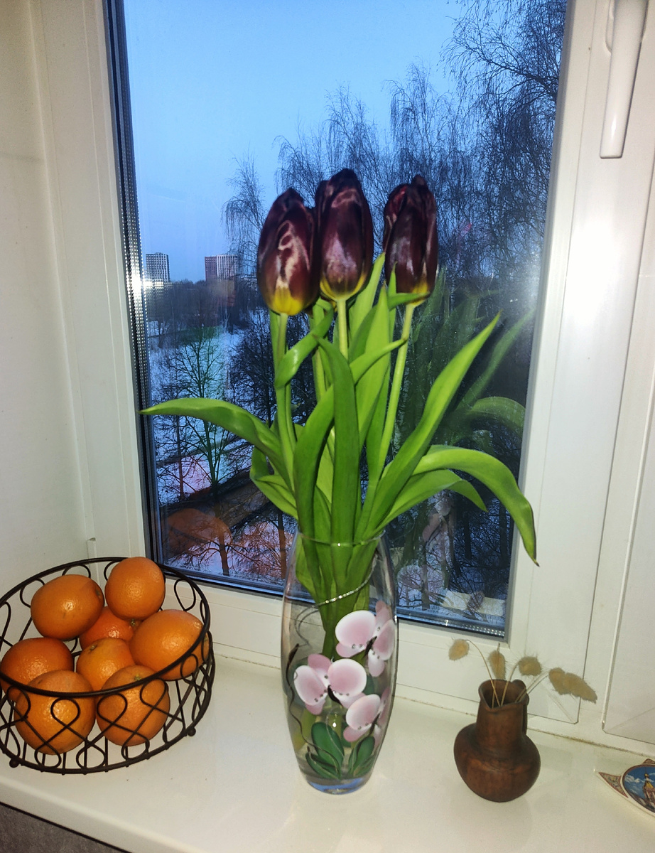 Ещё нет шести часов утра, а за окном уже практически светло. Настолько день прибыл! Фото автора