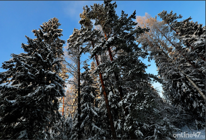 фото: Валентин Илюшин/Online47