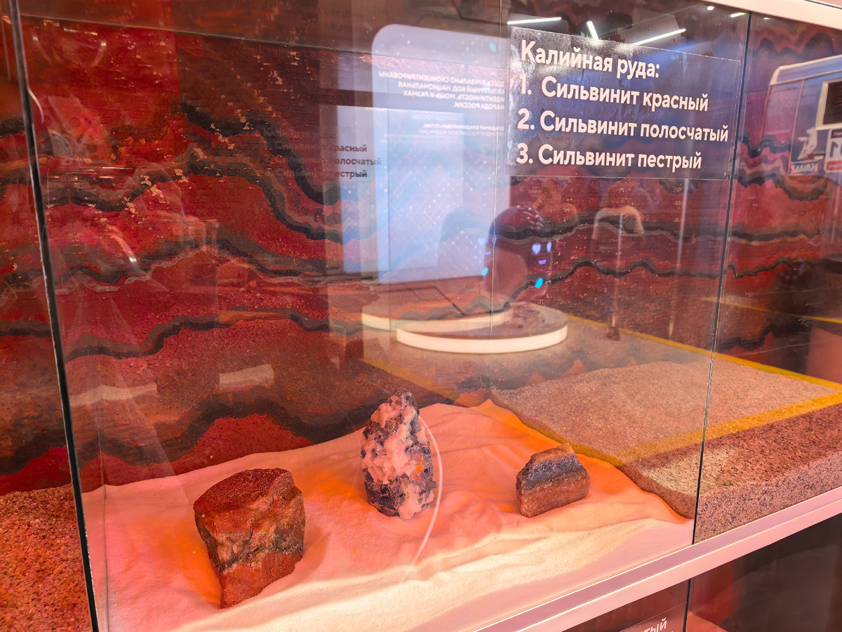 (Анна, «Маяк энтузиастов»)