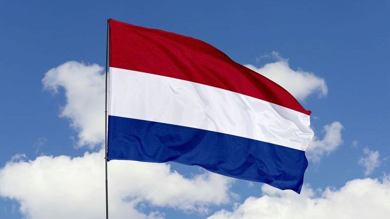    Фото: Tatohra/Shutterstock/Fotodom