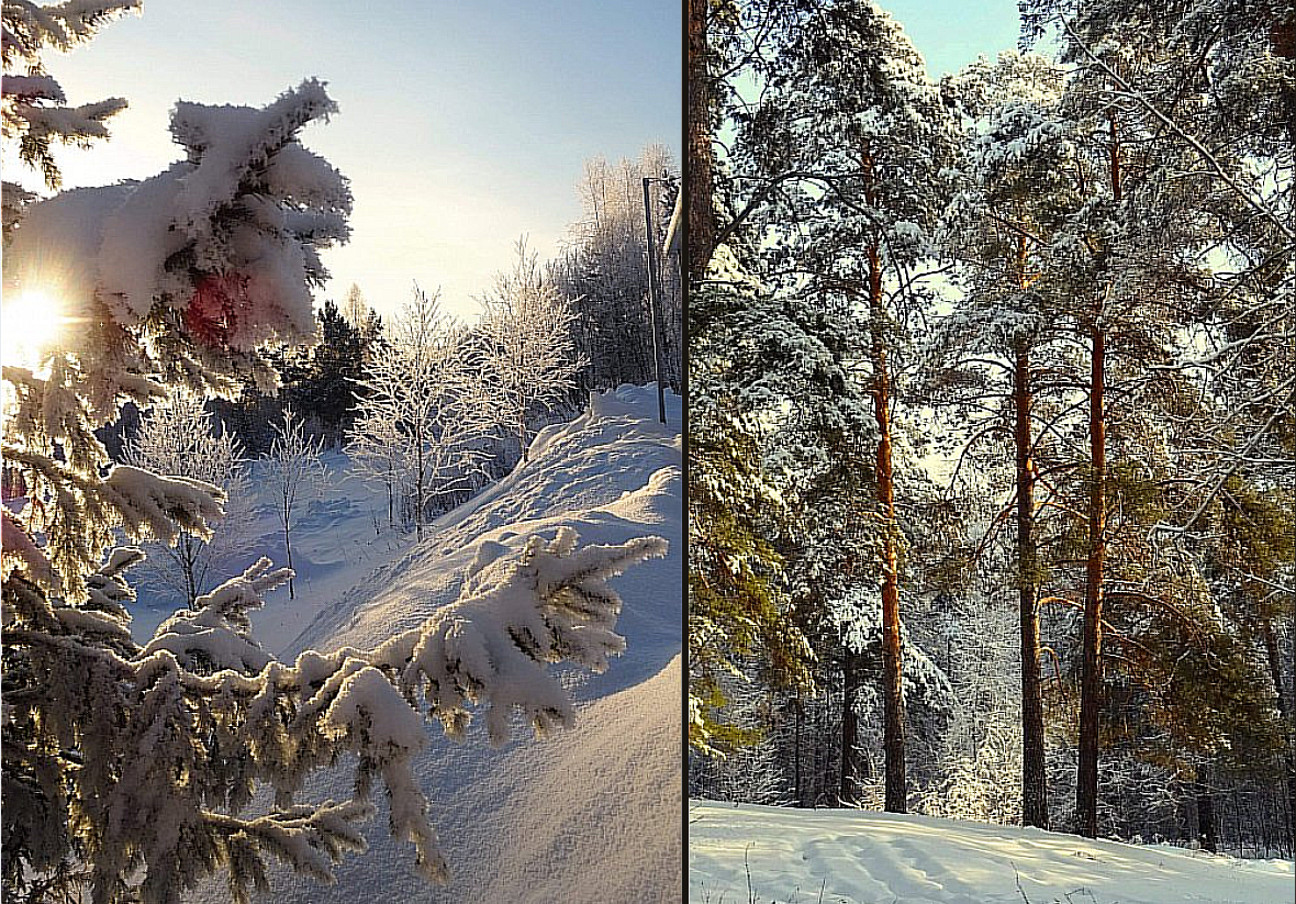 Художник Игорь Лемехов