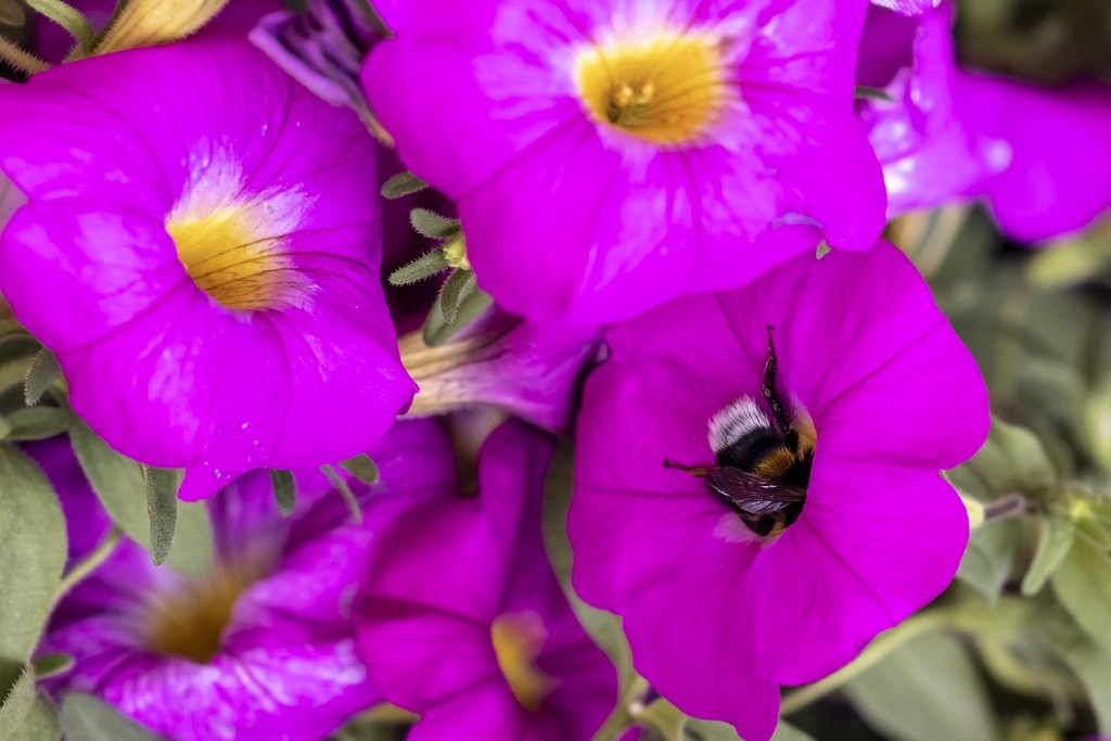    Фото © Дмитрий Дубинский / Абзац