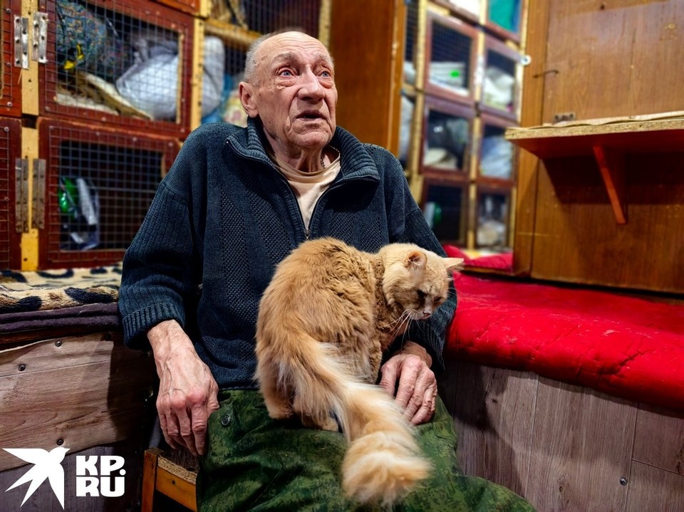    Недалеко от Донецка старый шахтер Владимир Михайлович Рябуха организовал в своем гараже приют для котиков, который так и называется - «У Михалыча» Юлия АНДРИЕНКО