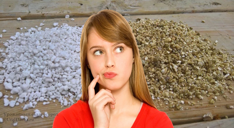 Многие неправильно используют вермикулит и перлит. Разбираемся, в чём их разница и какие ошибки садоводы допускают