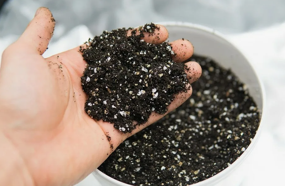 перлит в почве