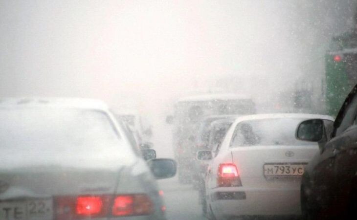 Метель в Алтайском крае. Фото: Екатерина Смолихина / amic.ru
