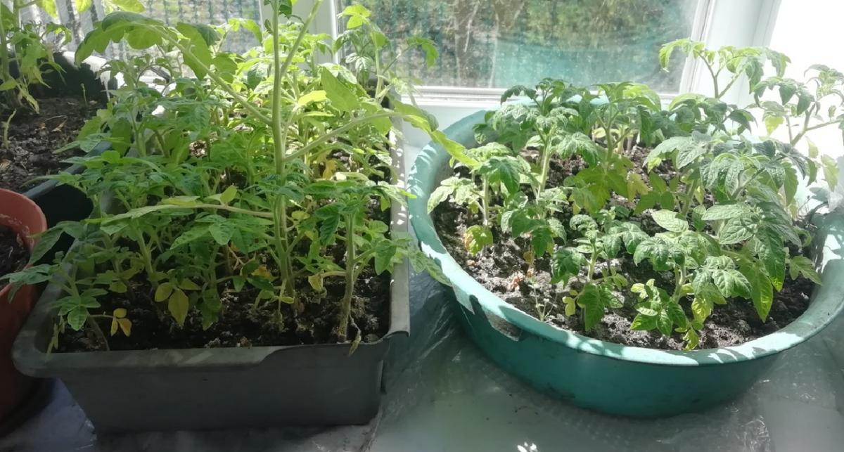    Фото: ПроГород