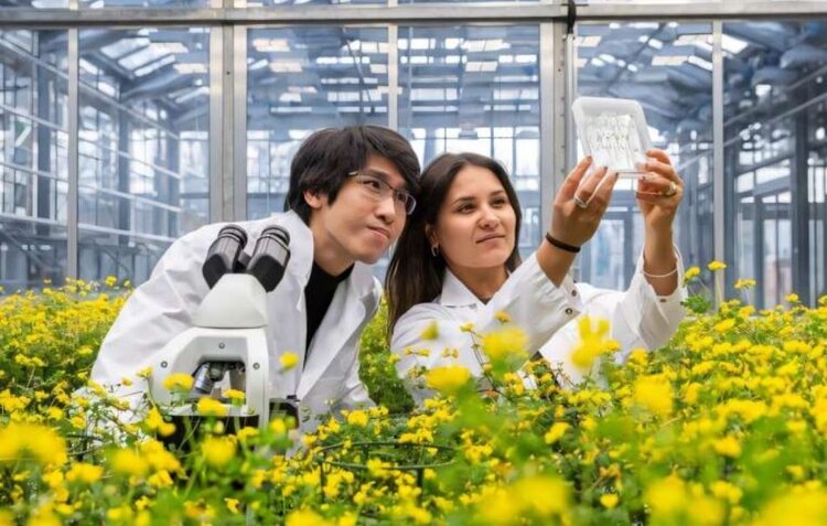    Фото: Max Planck Society