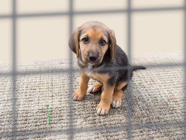    Фото: depositphotos/cunaplus