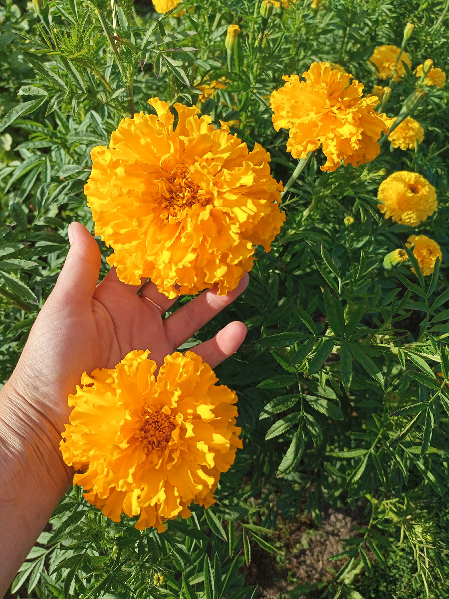 Фото автора канала 