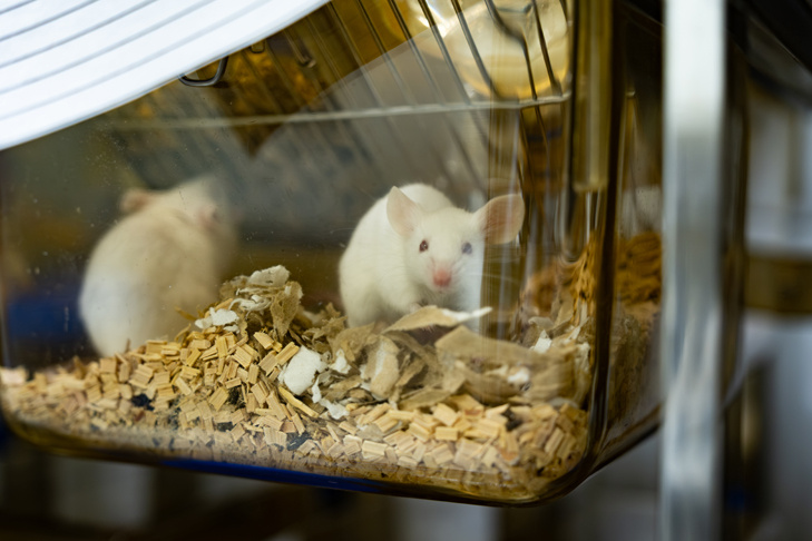    Фото с сайта edubiotech.ru