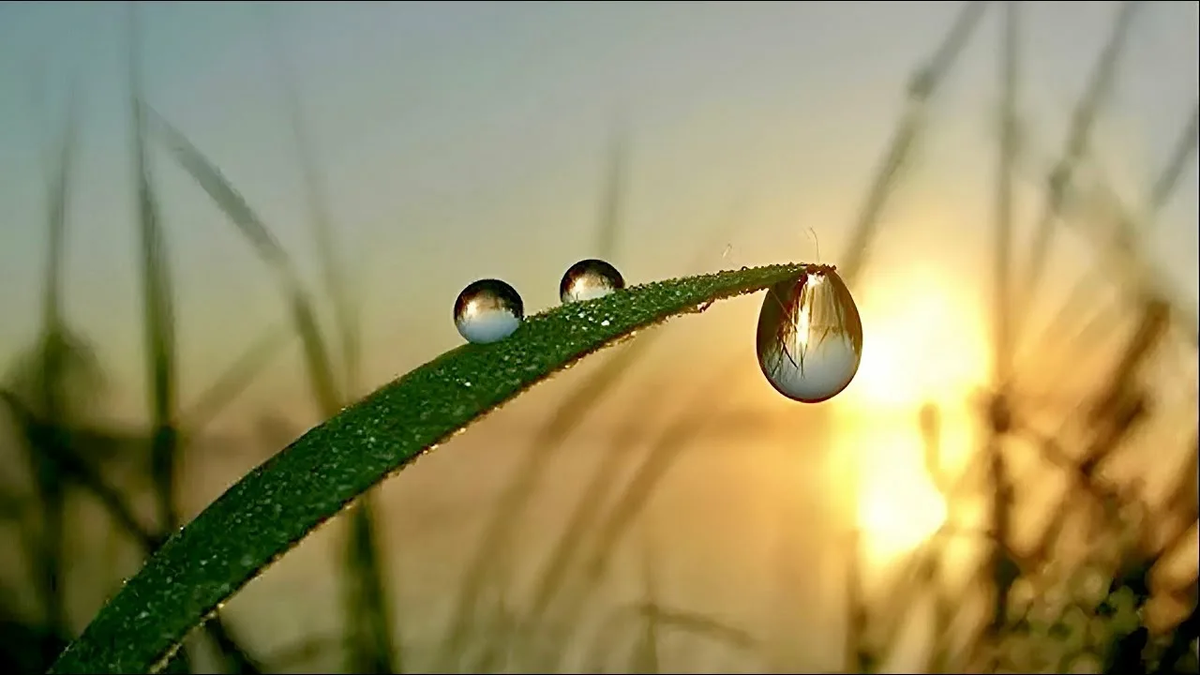 Солнце всходит и заходит, а в тюрьме моей темно!