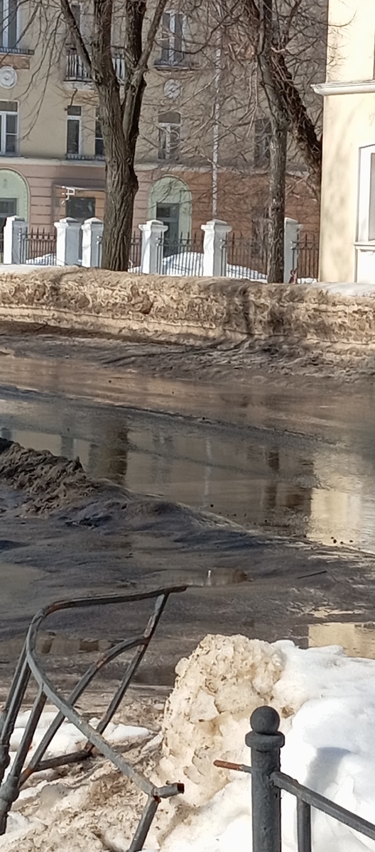 У нас весна в полном еë проявлении