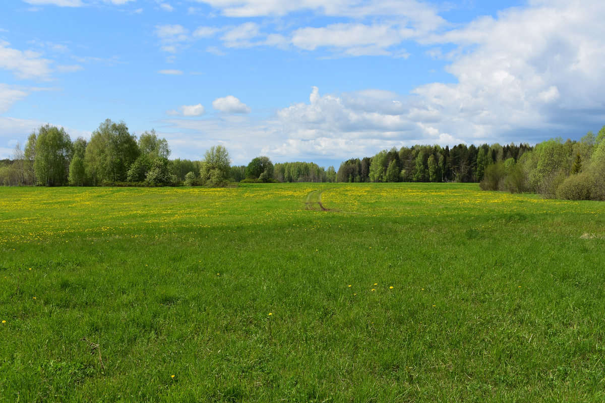 Дверь в лето