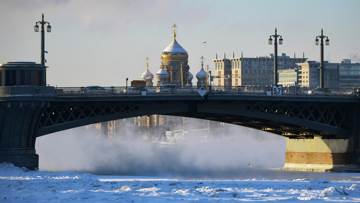    Санкт-Петербург зима Нева вид города мост РИА