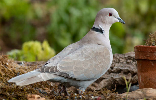 Фото взято из открытого источника