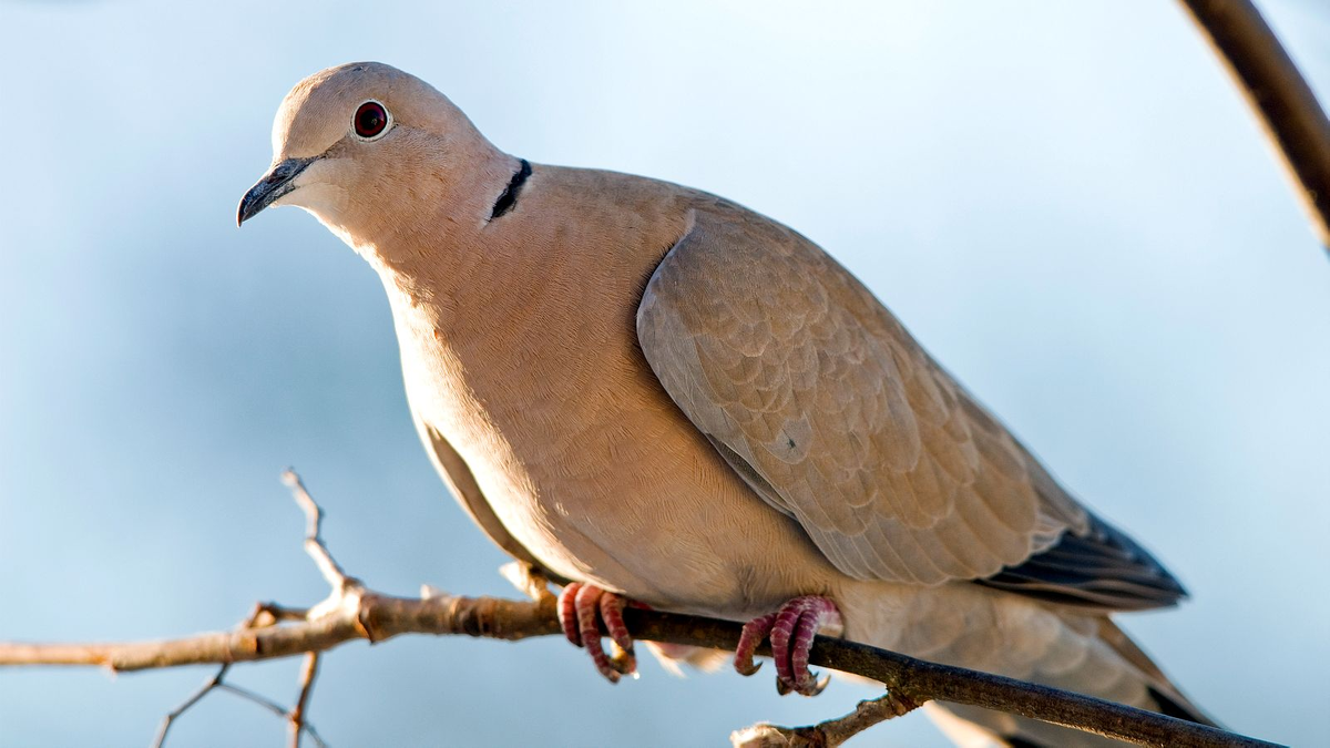 Фото взято из открытого источника