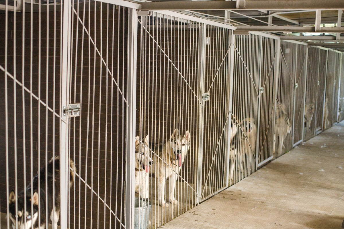 Теплый корпус, в котором живет часть наших подопечных