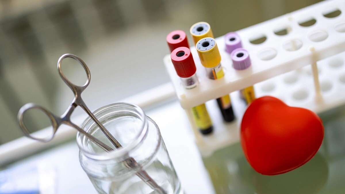    Фото: Юлия Чудинова / «Ямал-Медиа»