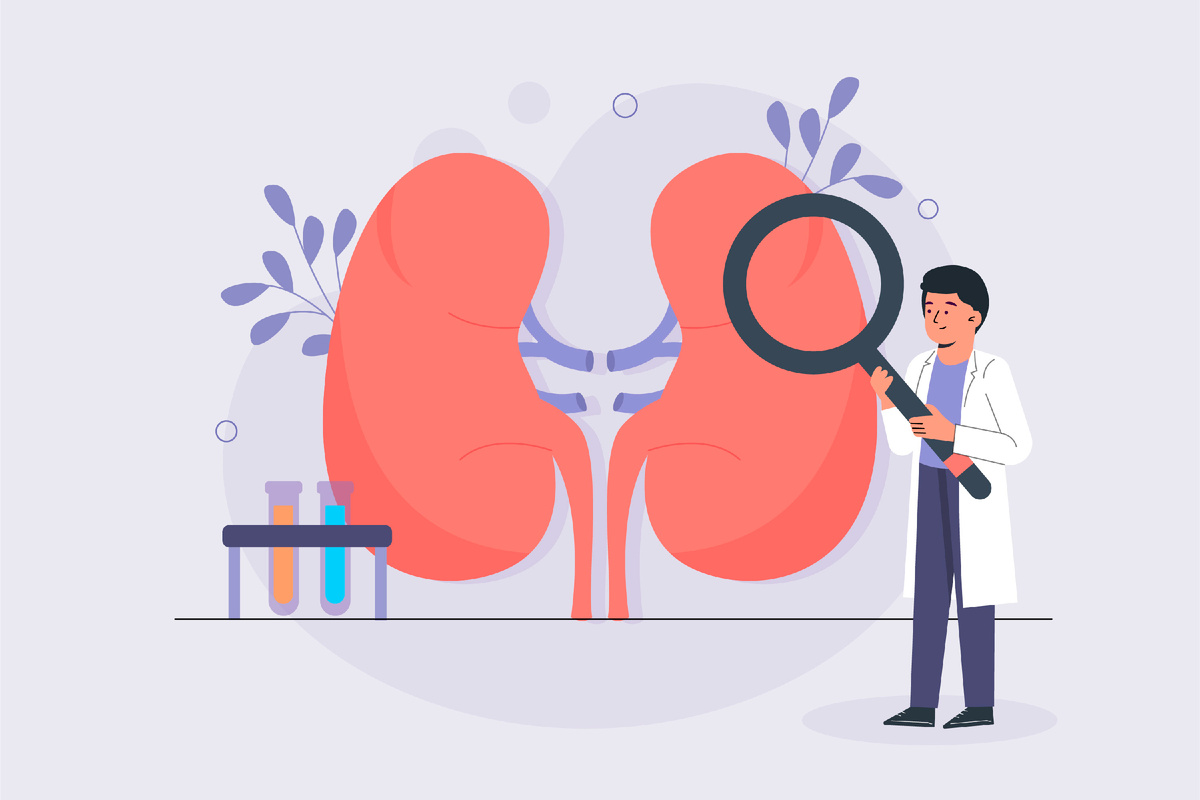 https://ru.freepik.com/free-vector/hand-drawn-urology-illustration_32173148.htm#fromView=search&page=1&position=4&uuid=1bcd3138-a95c-4716-9313-eb08022ed7c2&query=%D0%BF%D0%BE%D1%87%D0%BA%D0%B8