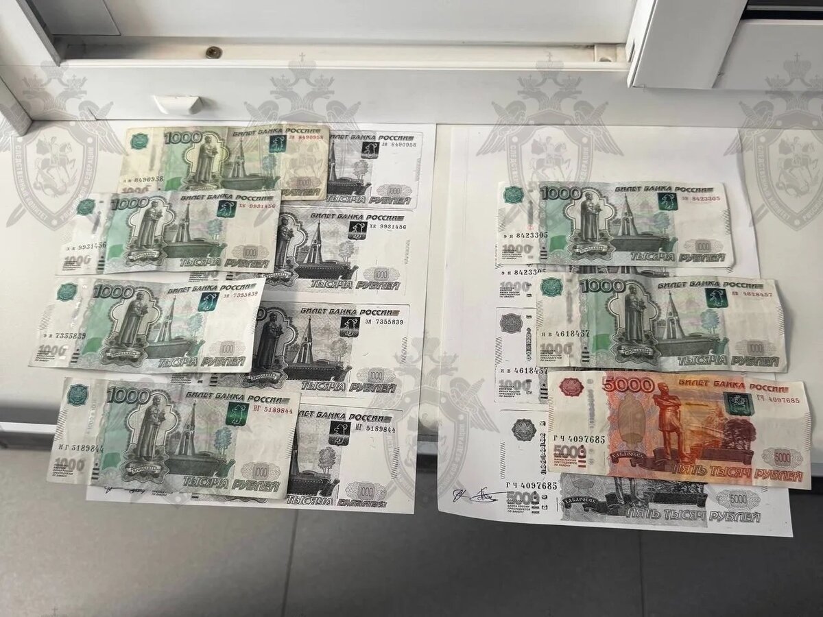    Фото: СУ СК по Ростовской области