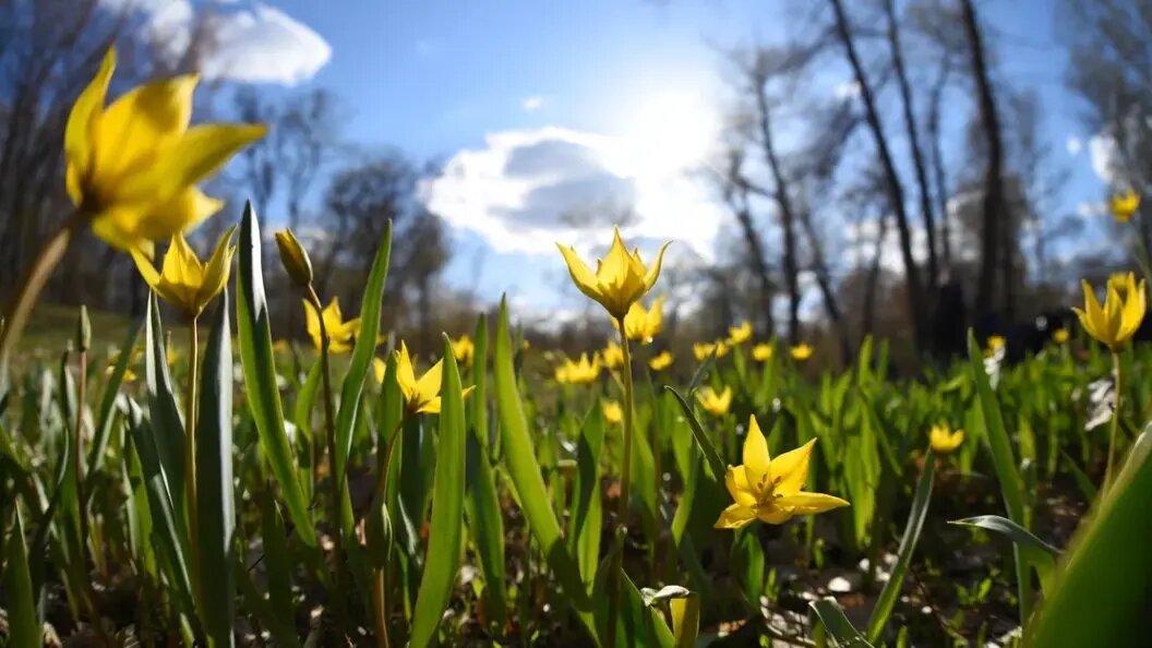    Фото: Олег Руковицын