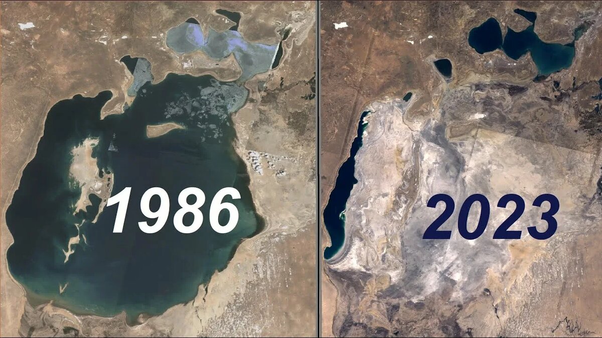 Изображение взято с сайта https://avatars.mds.yandex.net/i?id=6ed4da522fa00b41bc6d72bb7d7afdf1_l-5477942-images-thumbs&n=13