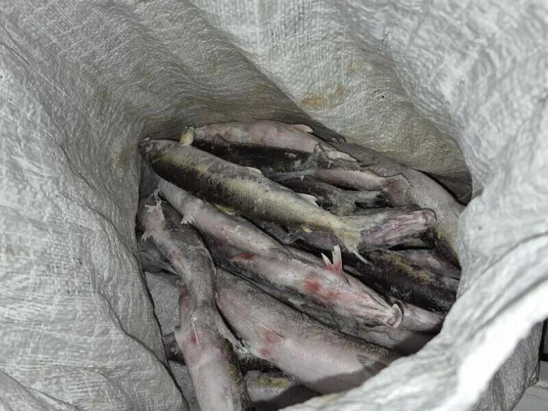 © Фото: МВД Республики Бурятия