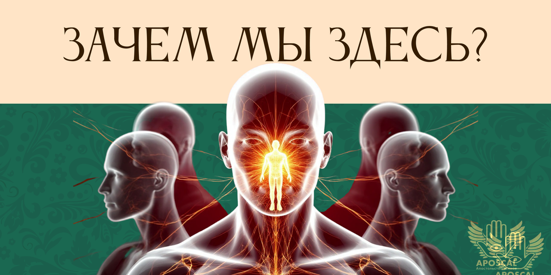 Зачем мы здесь? О духе, эволюции и бесконечном пути