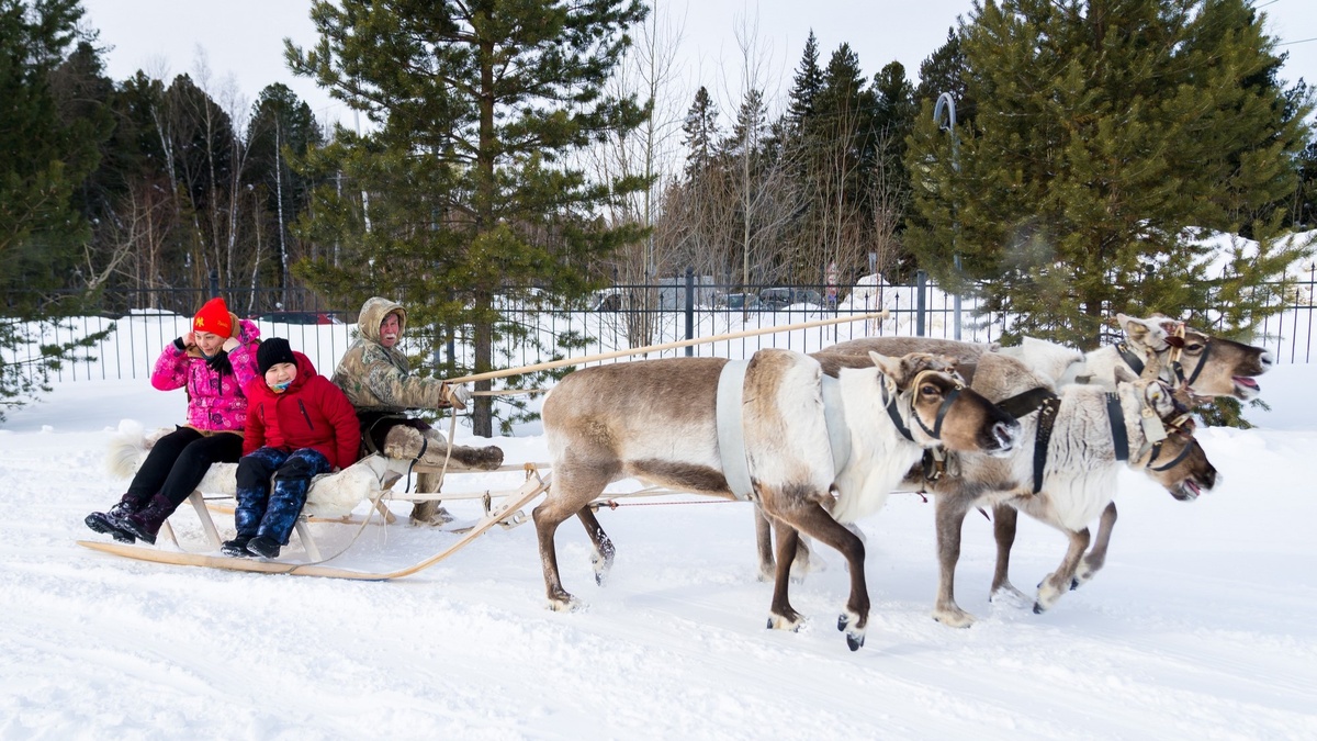    Этноиндустриальный турмаршрут по Югре получил статус национального
