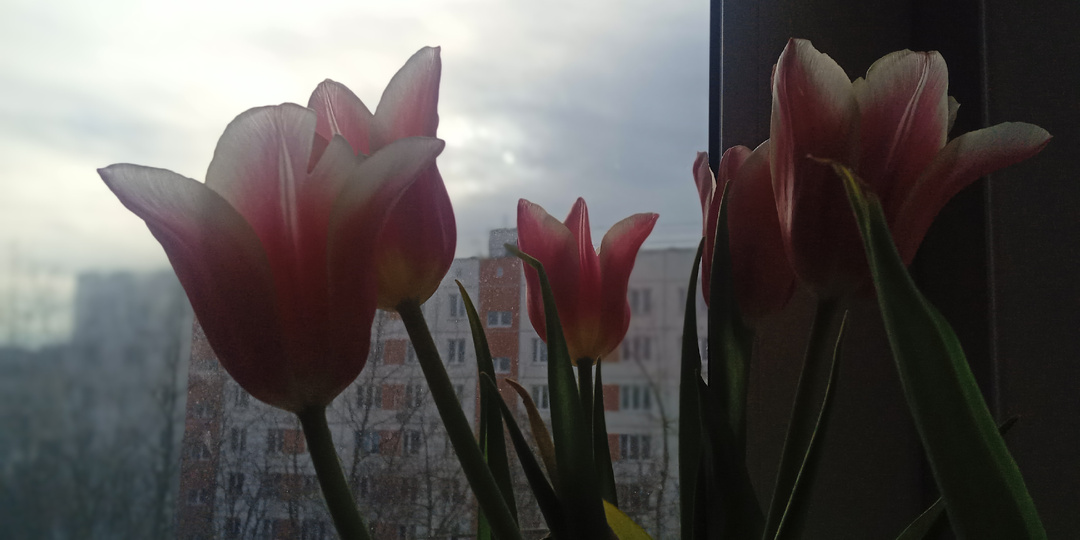 После праздника.