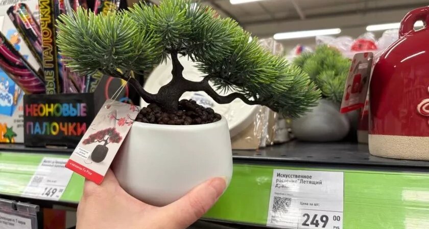    Фото materinstvo.ru