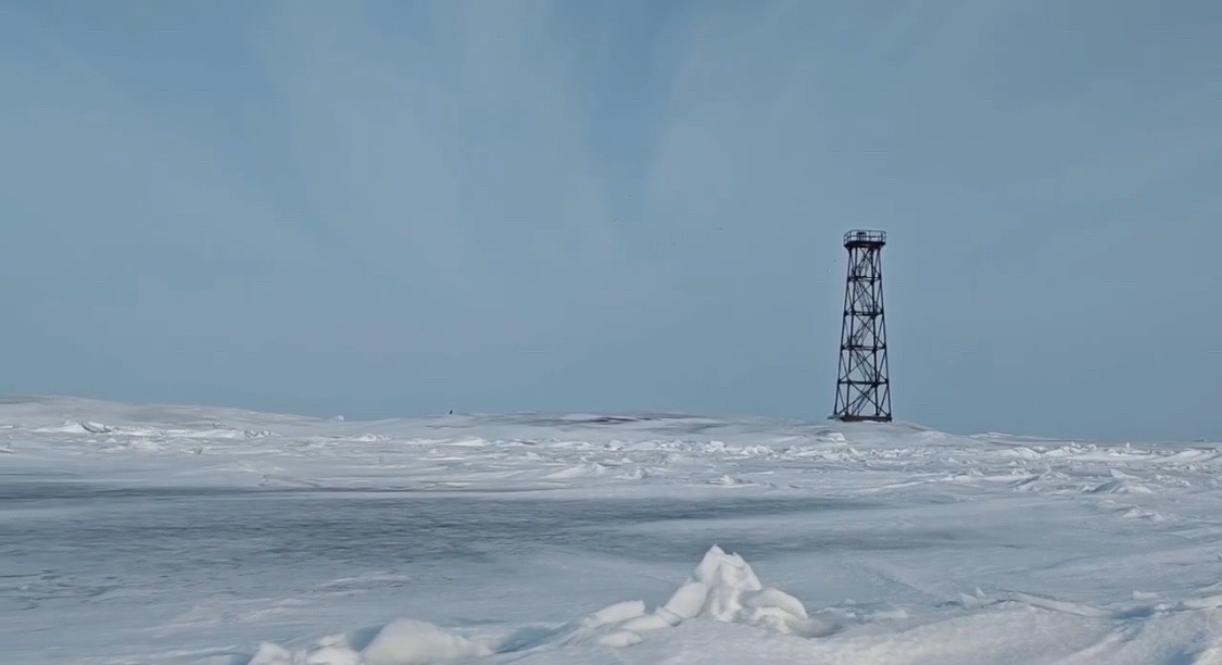    скриншот видео