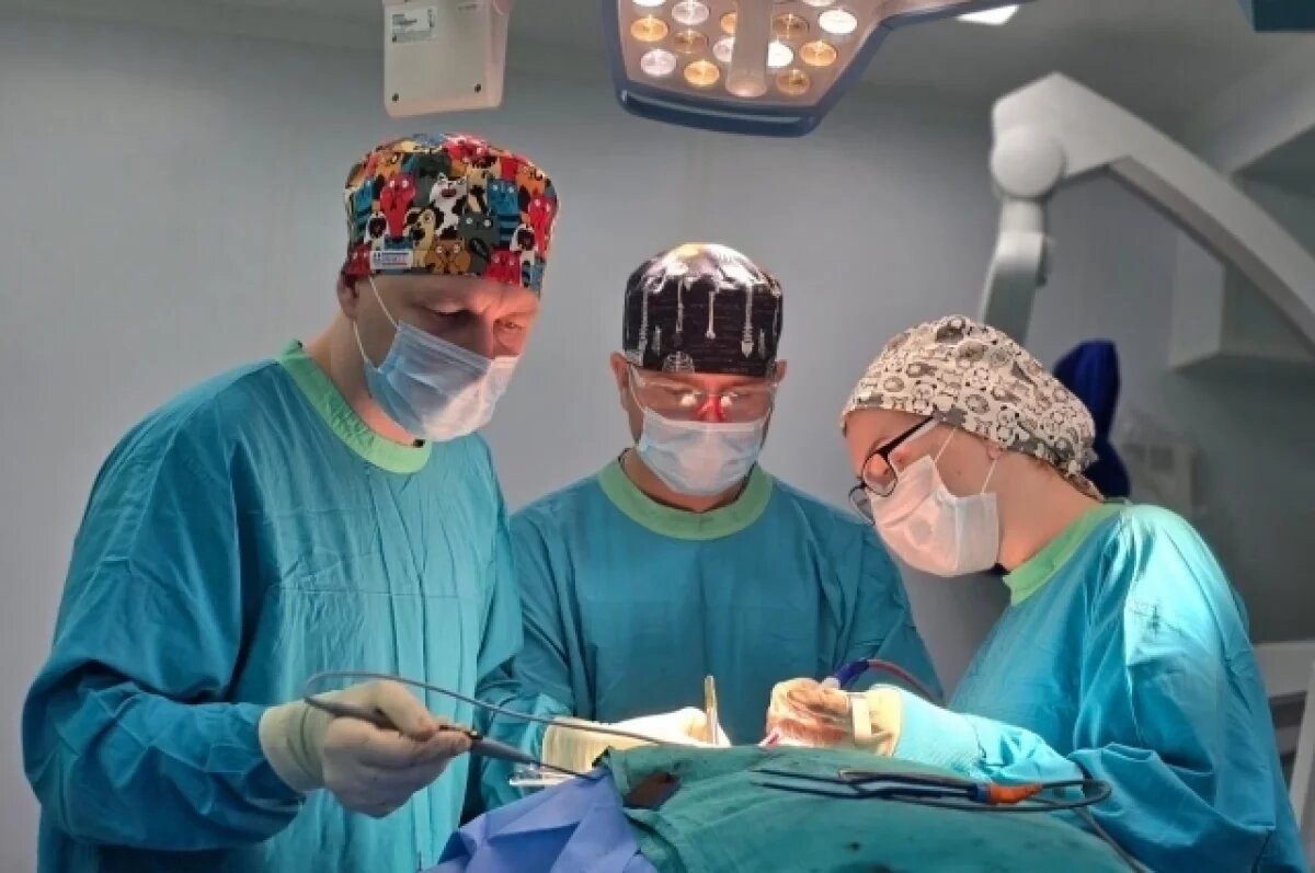    В Тюмени выполнили более 200 операций по пересадке почки