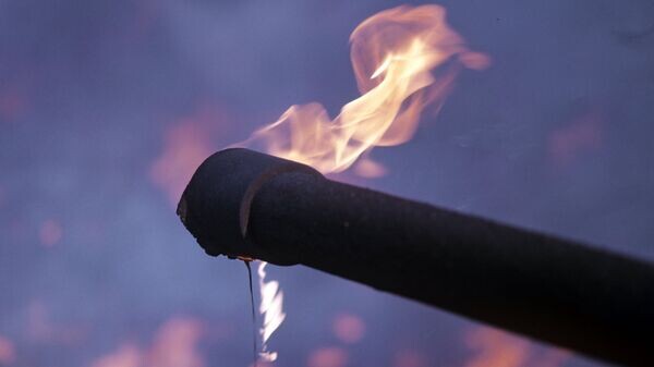    © РИА Новости . Всеволод Тарасевич