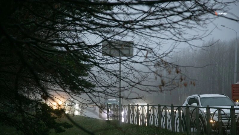      Фото: ИА «Победа26»